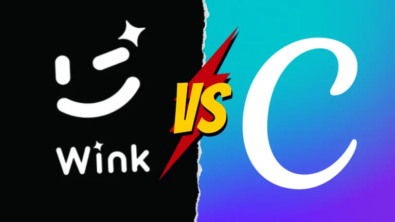 Wink video Retouching Tool vs Canva, which one is better for you, 2024