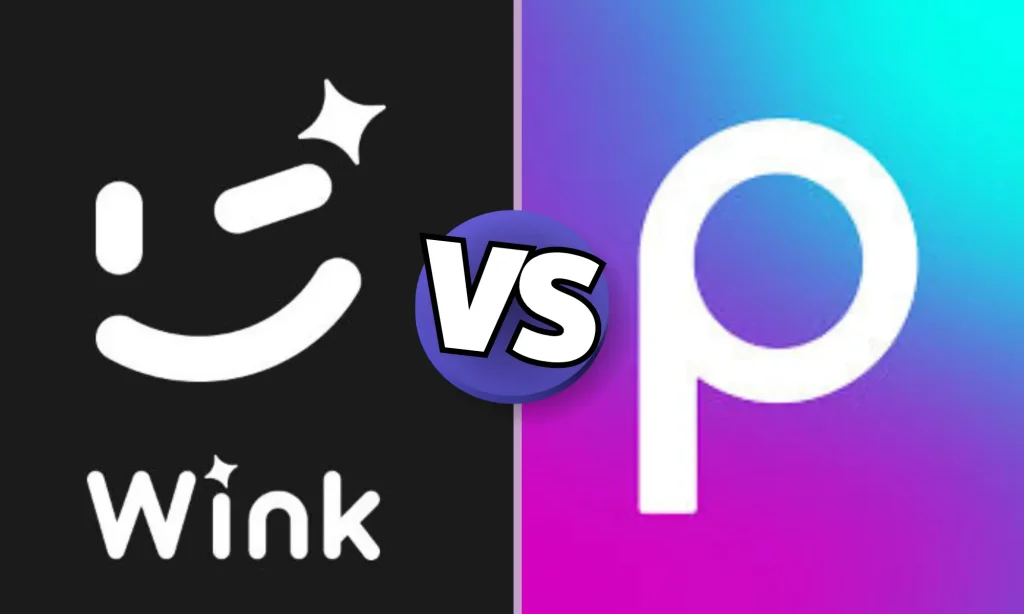 Wink vs Picsart
